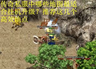 传奇私服中哪些地图最适合挂机升级?推荐这几个高效地点