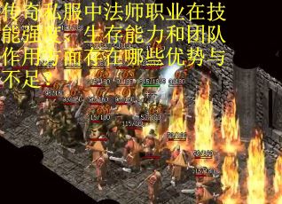传奇私服中法师职业在技能强度、生存能力和团队作用方面存在哪些优势与不足?