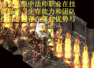传奇私服中法师职业在技能强度、生存能力和团队作用方面存在哪些优势与不足？
