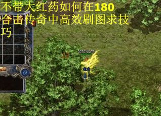 不带大红药如何在180合击传奇中高效刷图求技巧