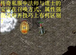 传奇私服中法师与道士的宝宝在召唤方式、属性强弱及培养技巧上有何区别？