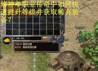 修神单职业传奇中如何快速提升等级并获取稀有装备？