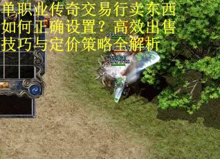 单职业传奇交易行卖东西如何正确设置？高效出售技巧与定价策略全解析