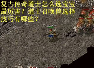 复古传奇道士怎么选宝宝最厉害？道士召唤兽选择技巧有哪些？