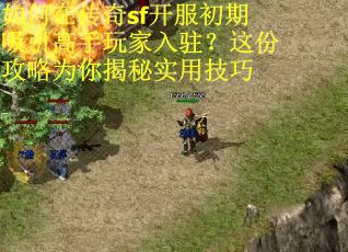 如何在传奇sf开服初期吸引高手玩家入驻？这份攻略为你揭秘实用技巧