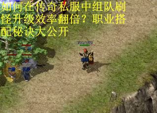 如何在传奇私服中组队刷怪升级效率翻倍？职业搭配秘诀大公开