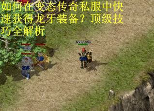 如何在变态传奇私服中快速获得龙牙装备？顶级技巧全解析