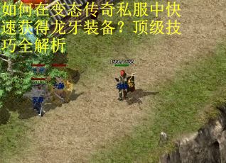 如何在变态传奇私服中快速获得龙牙装备？顶级技巧全解析