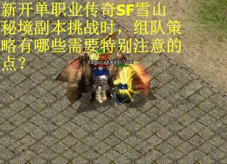新开单职业传奇SF雪山秘境副本挑战时，组队策略有哪些需要特别注意的点？