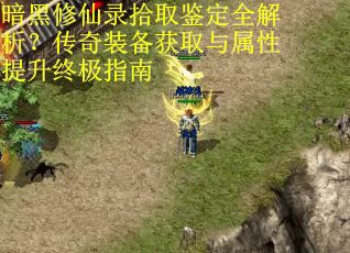 暗黑修仙录拾取鉴定全解析？传奇装备获取与属性提升终极指南