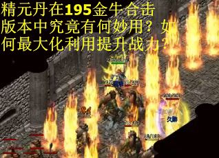 精元丹在195金牛合击版本中究竟有何妙用？如何最大化利用提升战力？