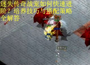 迷失传奇战宠如何快速进阶？培养技巧与搭配策略全解答