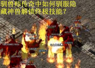 驯兽师传奇中如何驯服隐藏神兽解锁终极技能？