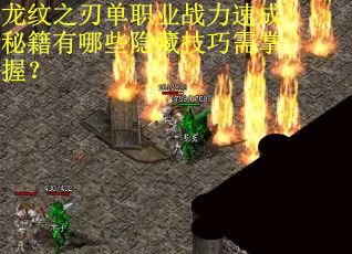 龙纹之刃单职业战力速成秘籍有哪些隐藏技巧需掌握？